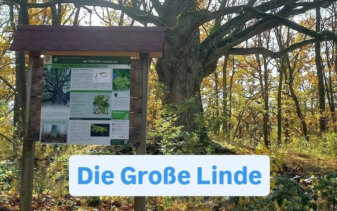 Entdeckerdate Justin und Antonia beim Naturpark Haßberge